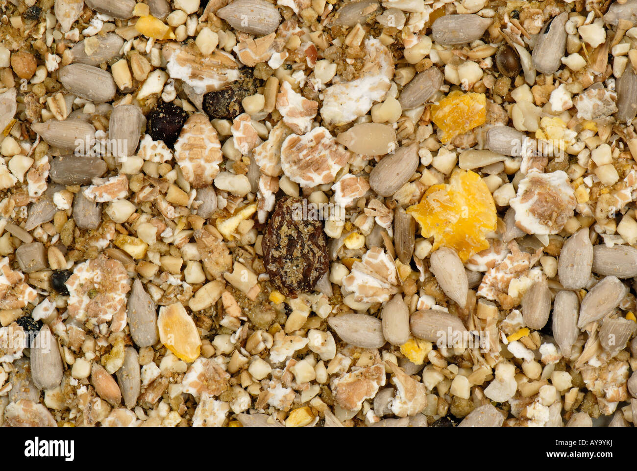 Wild bird feed for garden feeders with pine nuts crushed cereal grains and various seeds Stock Photo