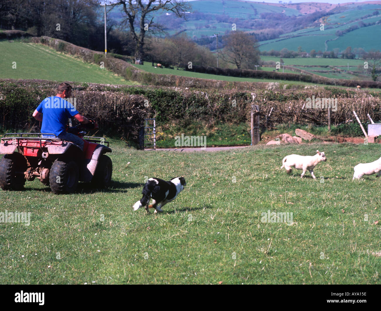Quad biking britain hi-res stock photography and images - Alamy