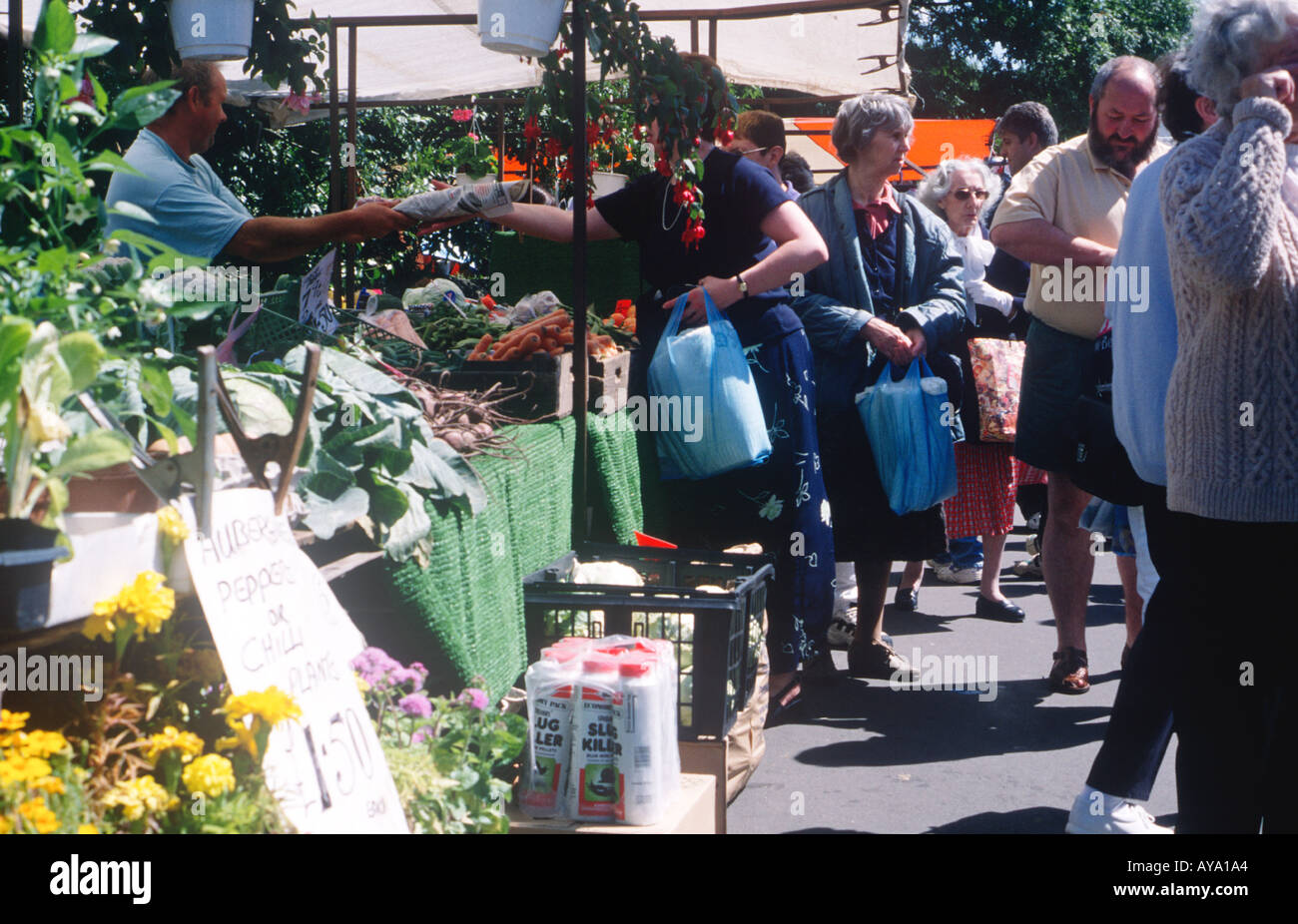 Fruit and Veg Stall in Abergavenny Outdoor Market Gwent 16636JP1 Stock