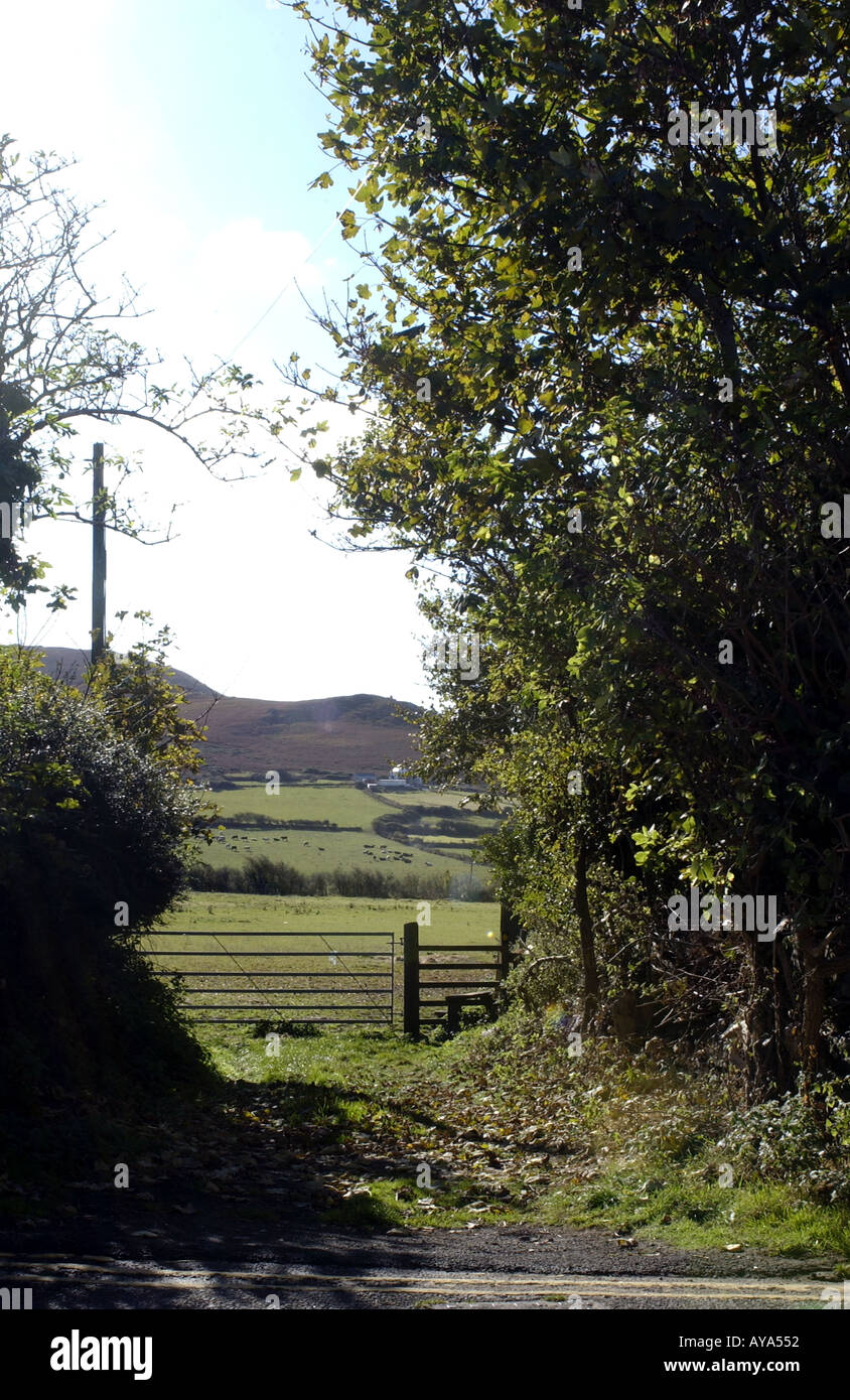 Gower Hill End Wales UK Stock Photo Alamy