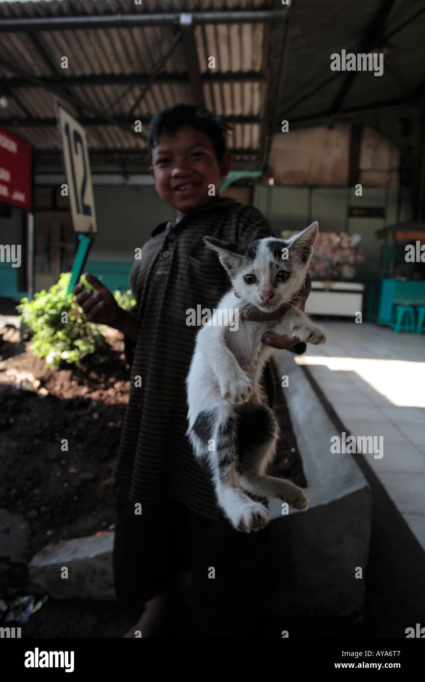 Indonesia Jakarta Young homeless cruelly holds chokes kitten by railroad tracks inside Kota Railway Station Stock Photo