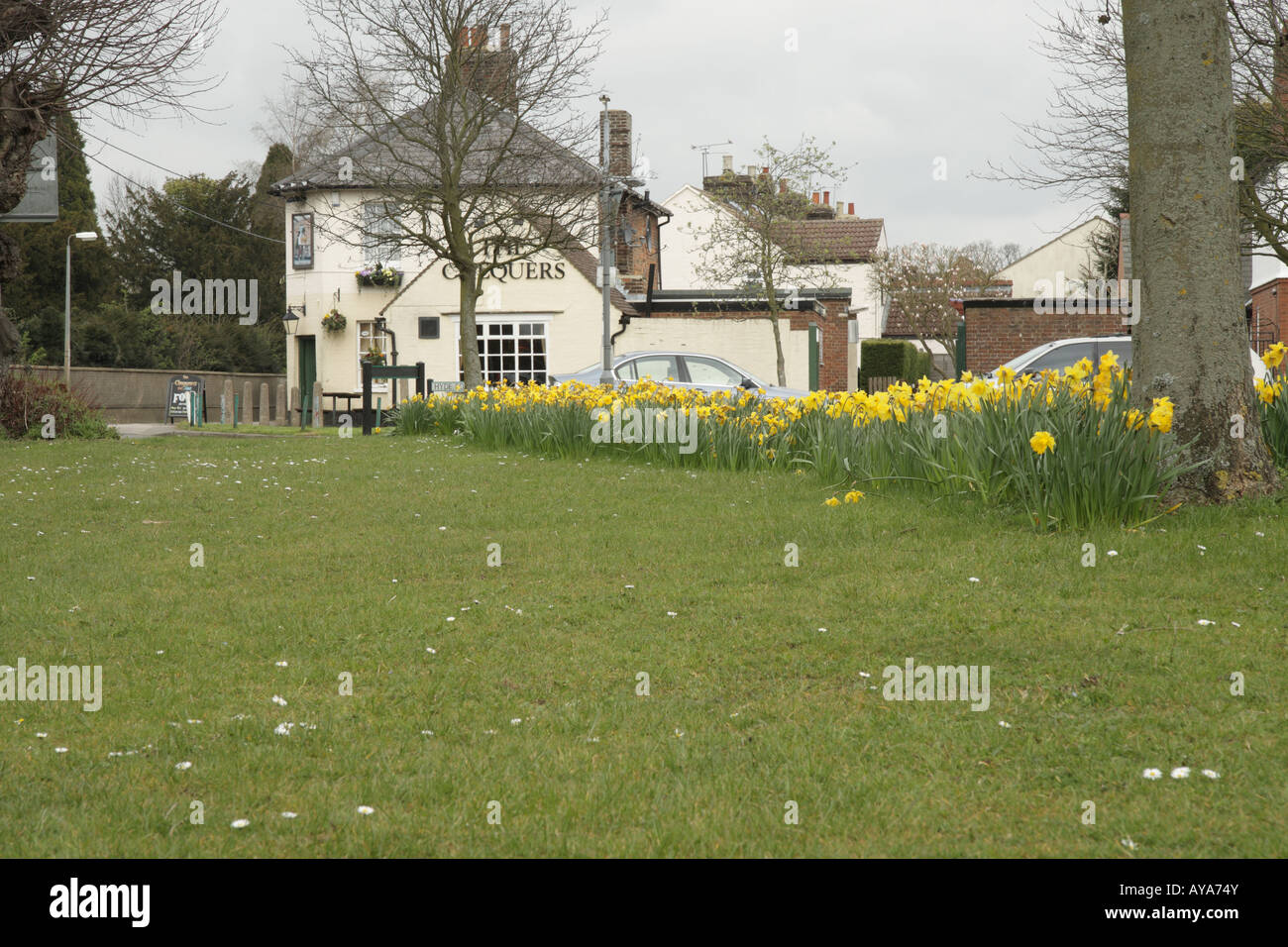 Caddington village green showing Daffodils Stock Photo