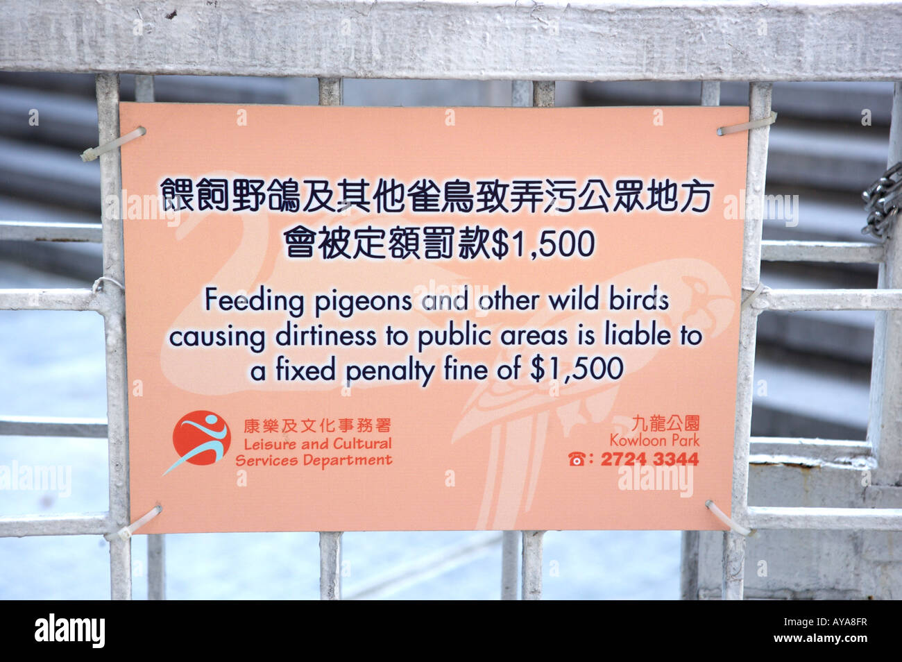 Anti-bird flu message in Hong Kong, china Stock Photo