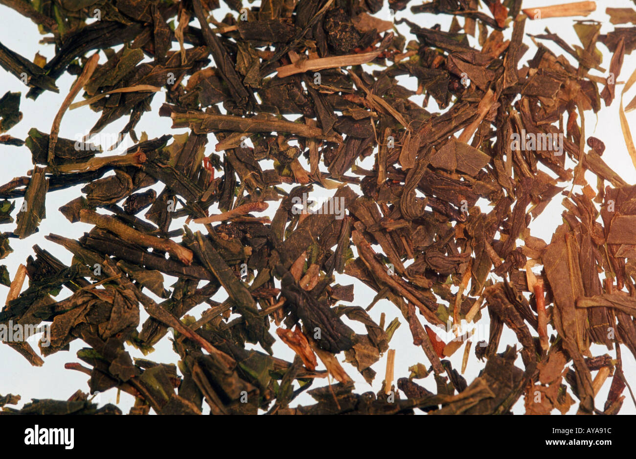Green Tea Gruener Tee Grüner Tee Nahrungsmittel food innen Studio indoor Querformat horizontal Stock Photo