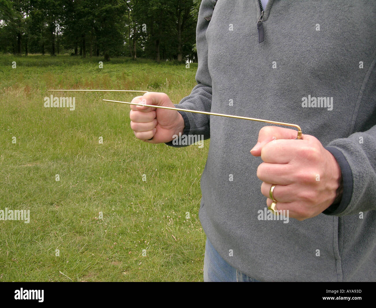 Dowsing rods Divining rods dowsing dowser dowse energy energy lines