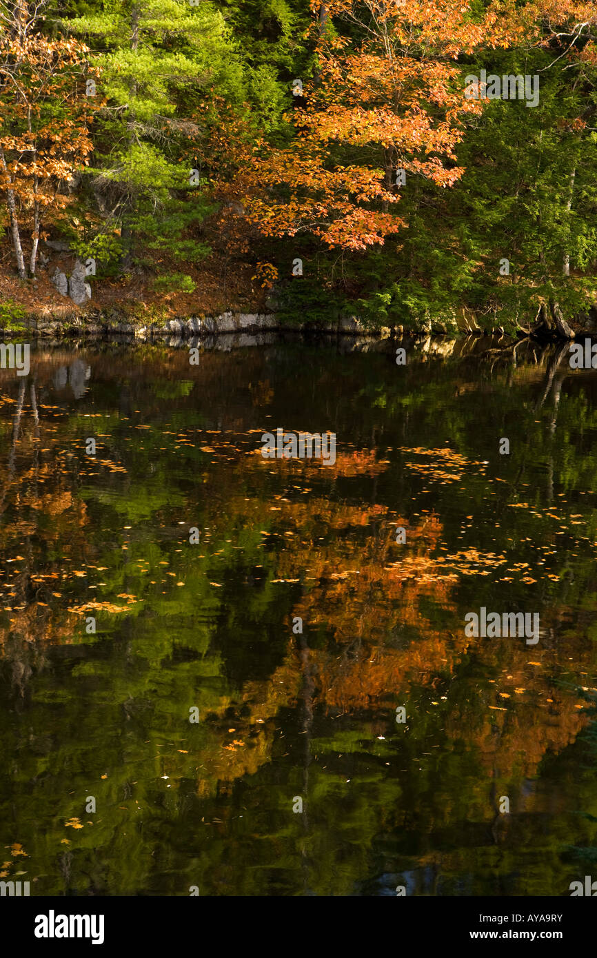 Fall colors reflect in the Saco River in Hollis, Maine Stock Photo Alamy
