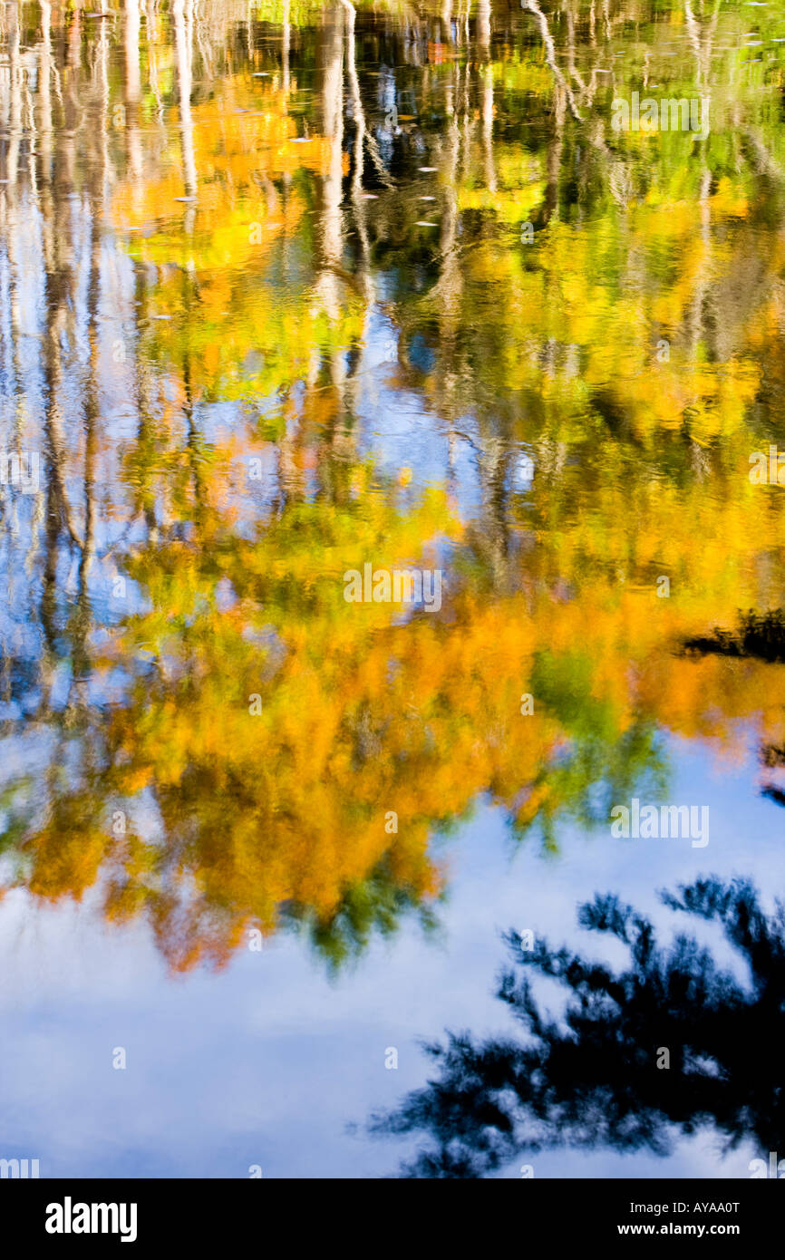 Fall colors reflect in the Saco River in Hollis, Maine Stock Photo Alamy