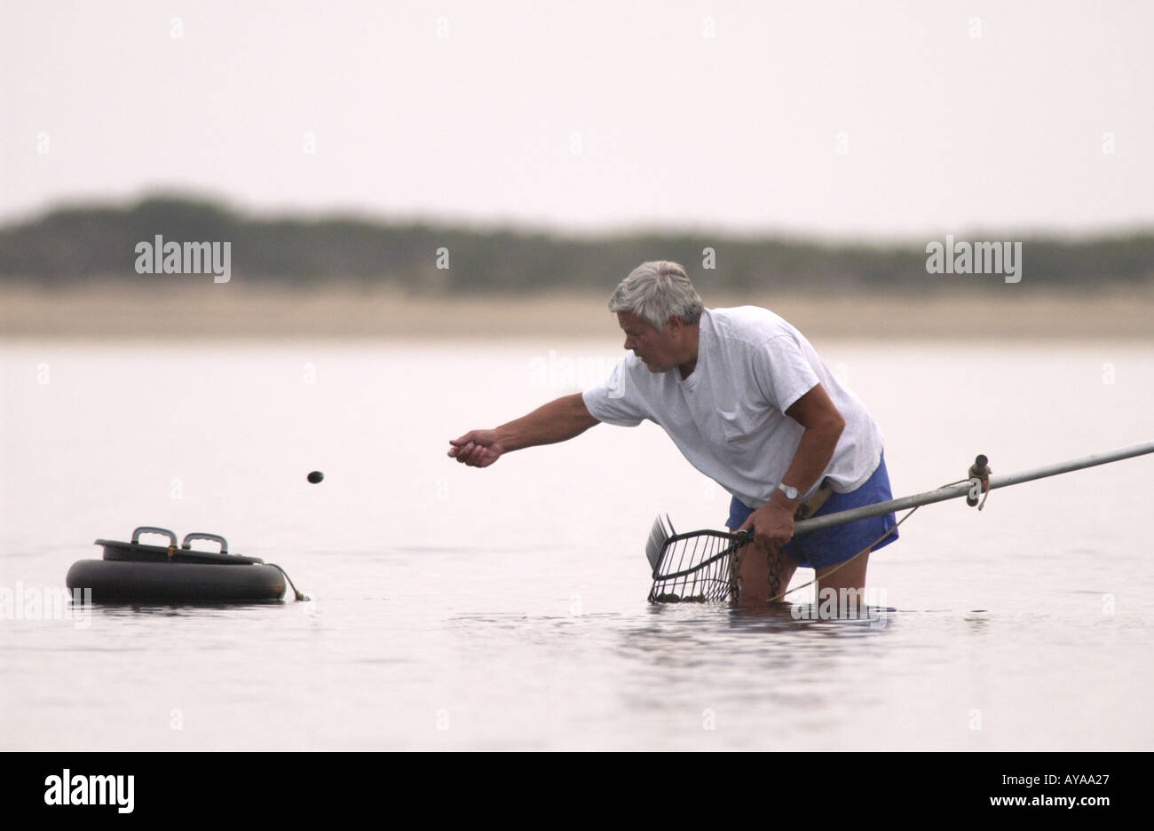 Clammer hi-res stock photography and images - Alamy