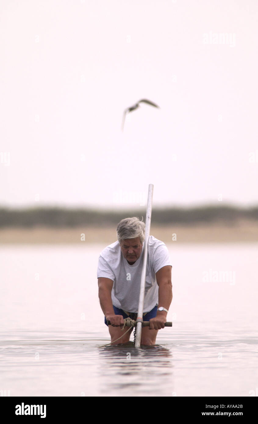Amagansett NY 072702 Bill Carilli of Montauk NY digs for clams on