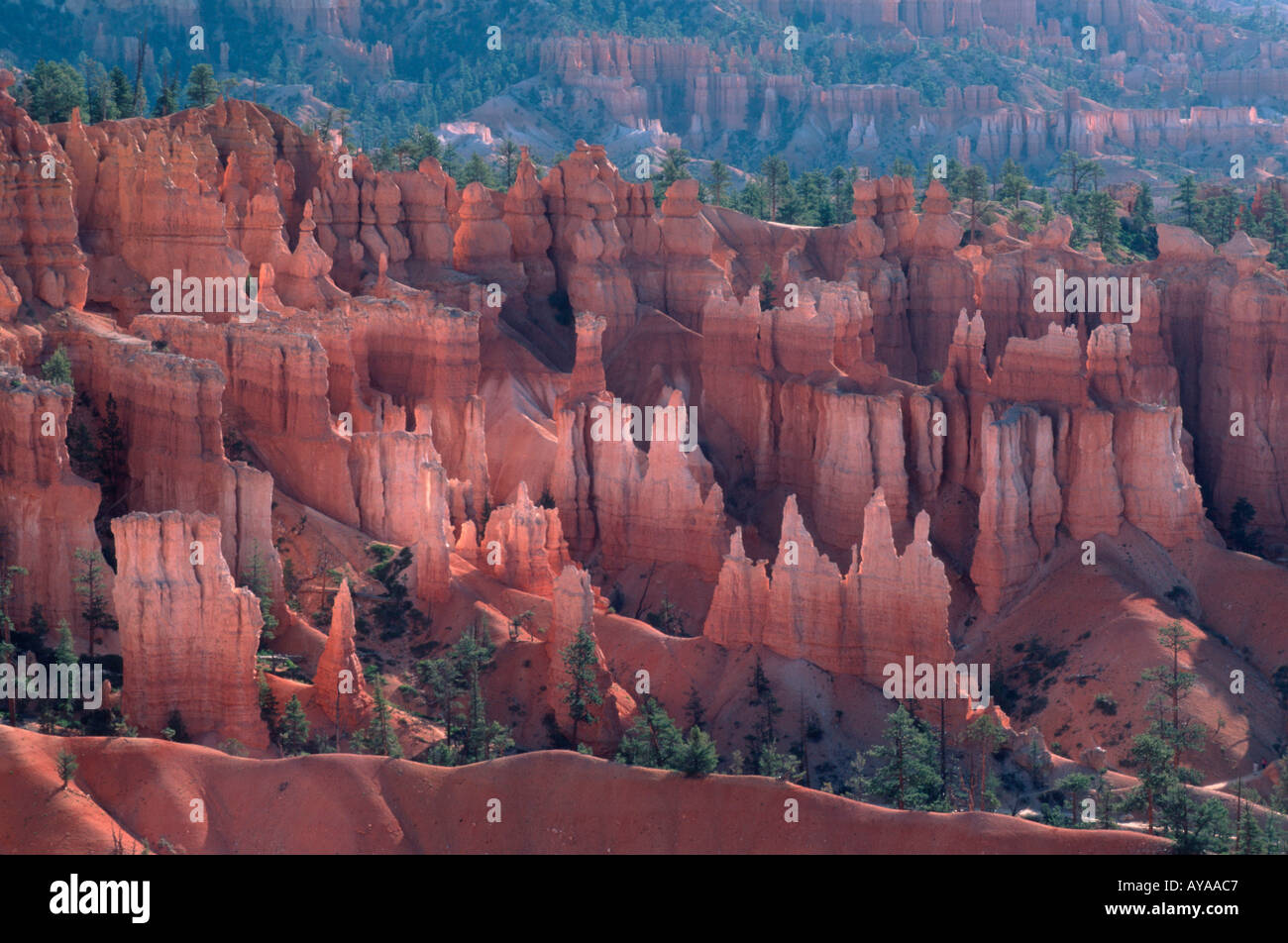 Bryce Canyon Utah USA Nordamerika north america Uebersicht overview Querformat horizontal Stock Photo