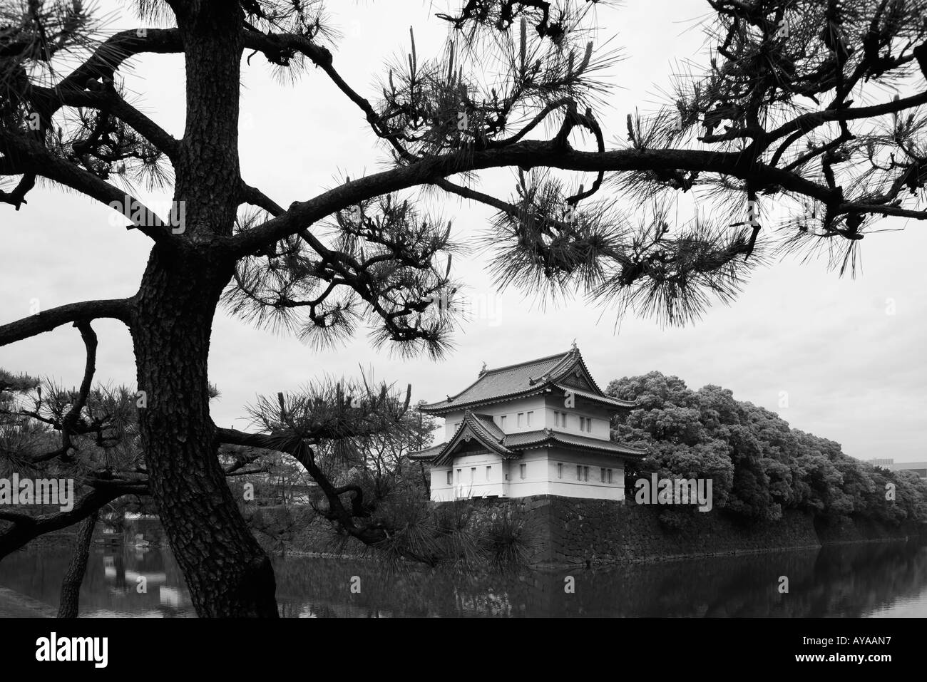 Asia Tokyo Japan Pine trees frame guard buildings at Imperial Palace near Otemon Gate Stock Photo