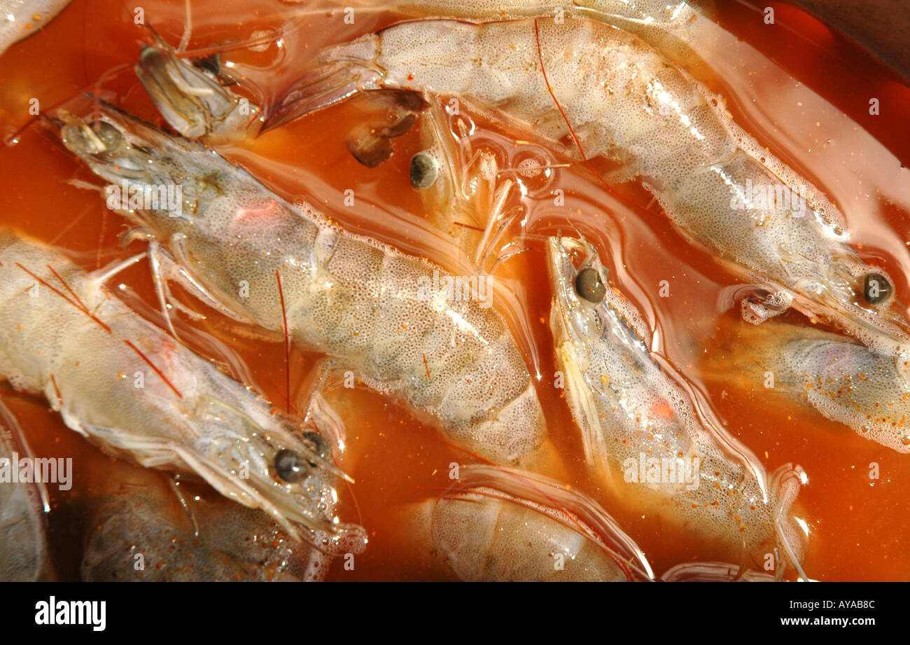 Louisiana shrimp in marinade Cajun cooking Stock Photo