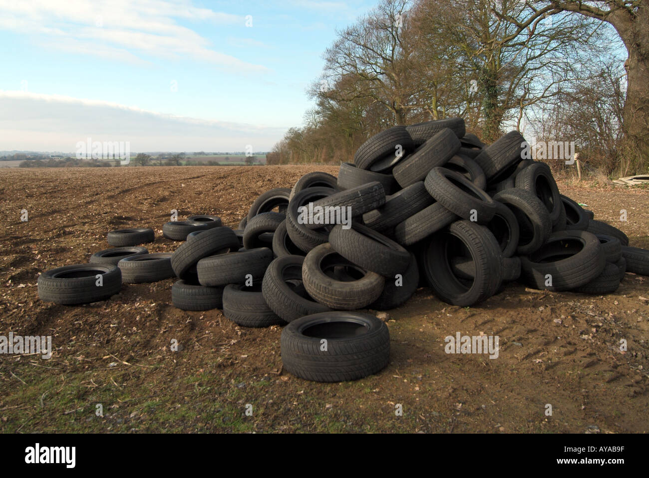 Illegal fly tipping of vehicle tyres dumped in farm field to avoid paying disposal charges flytipping big problem in countryside Essex England UK Stock Photo
