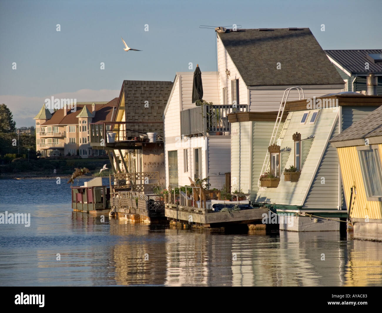 Houseboat community on the Inner Harbor Victoria British Columbia Vancouver  Island Canada Stock Photo - Alamy, image size:1300x1065