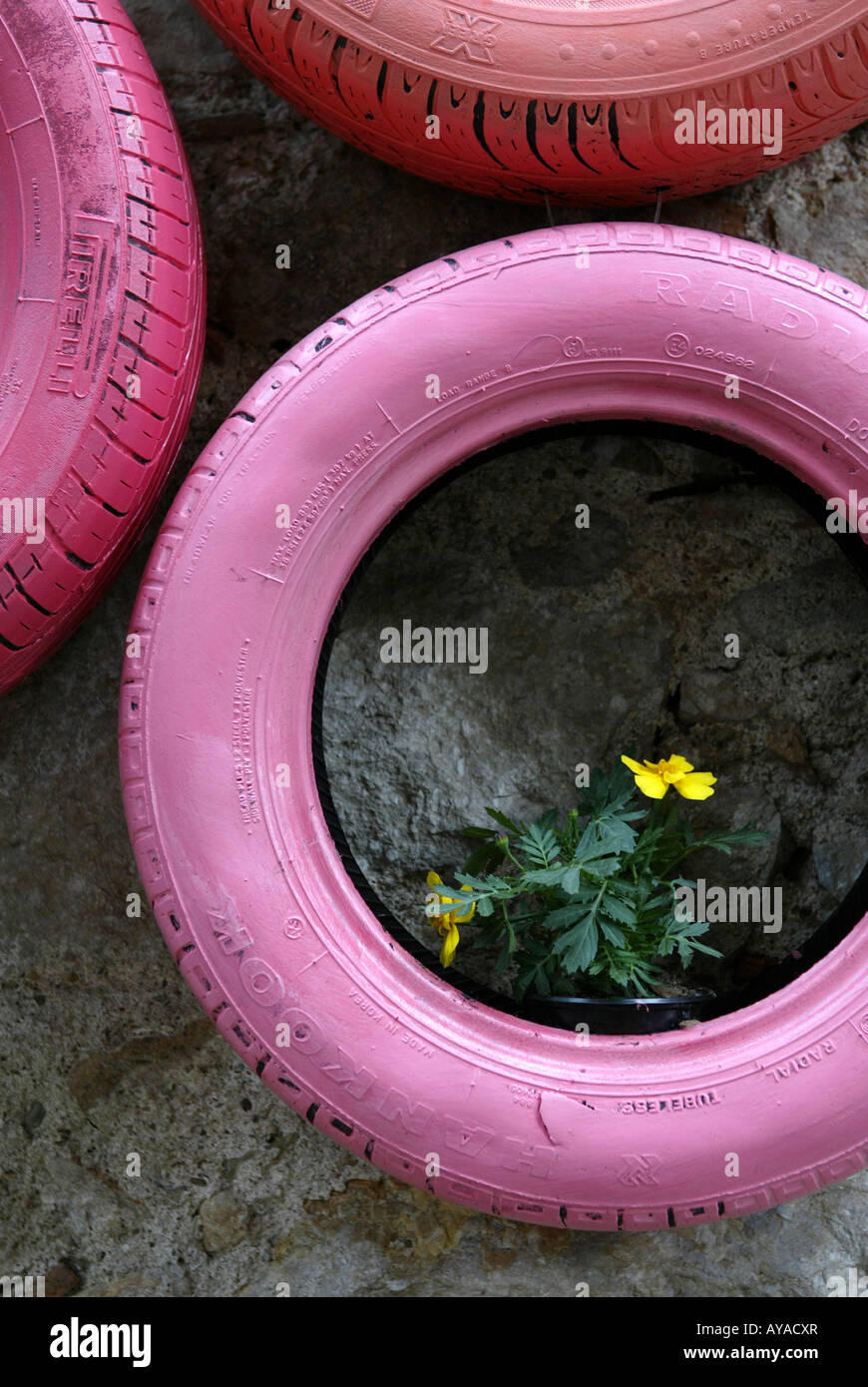 Tyres and flowers hang from the walls at the Girona flower festival "Temps de flors", held in May each year, Catalonia, Spain Stock Photo