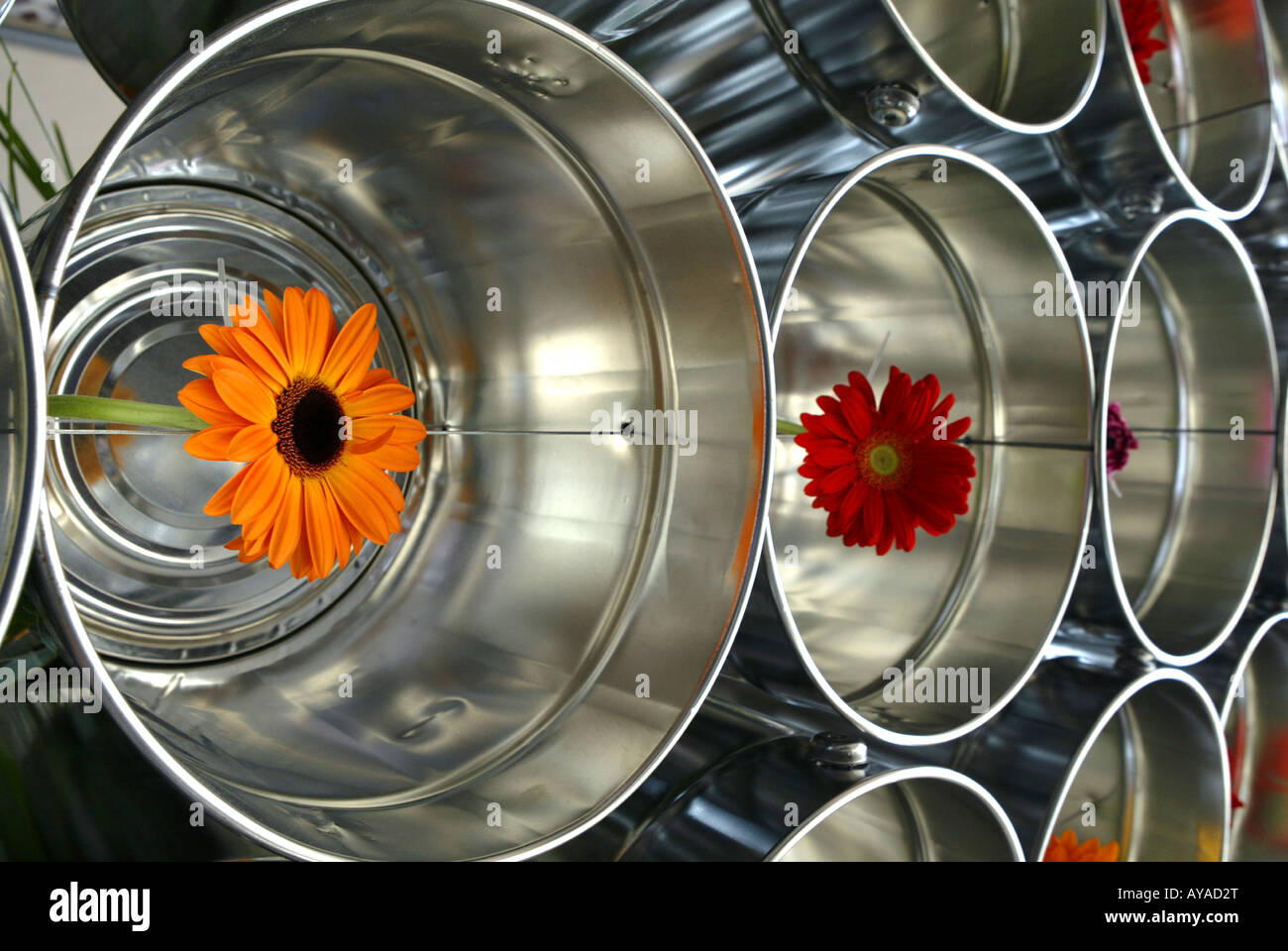 Flowers on display at the Girona flower festival “Temps de flors”, held