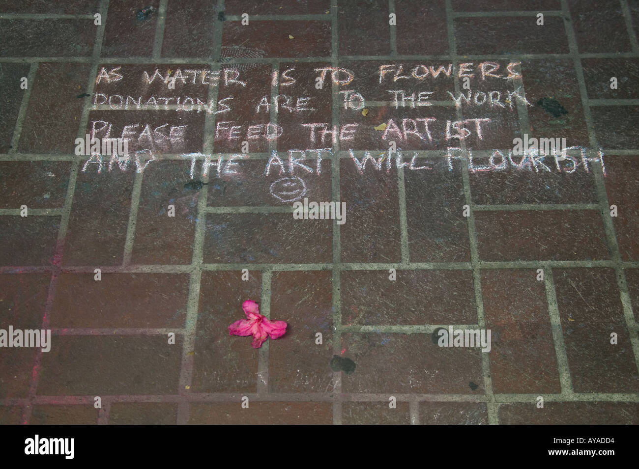flower and chalk artwork on sidewalk Stock Photo Alamy