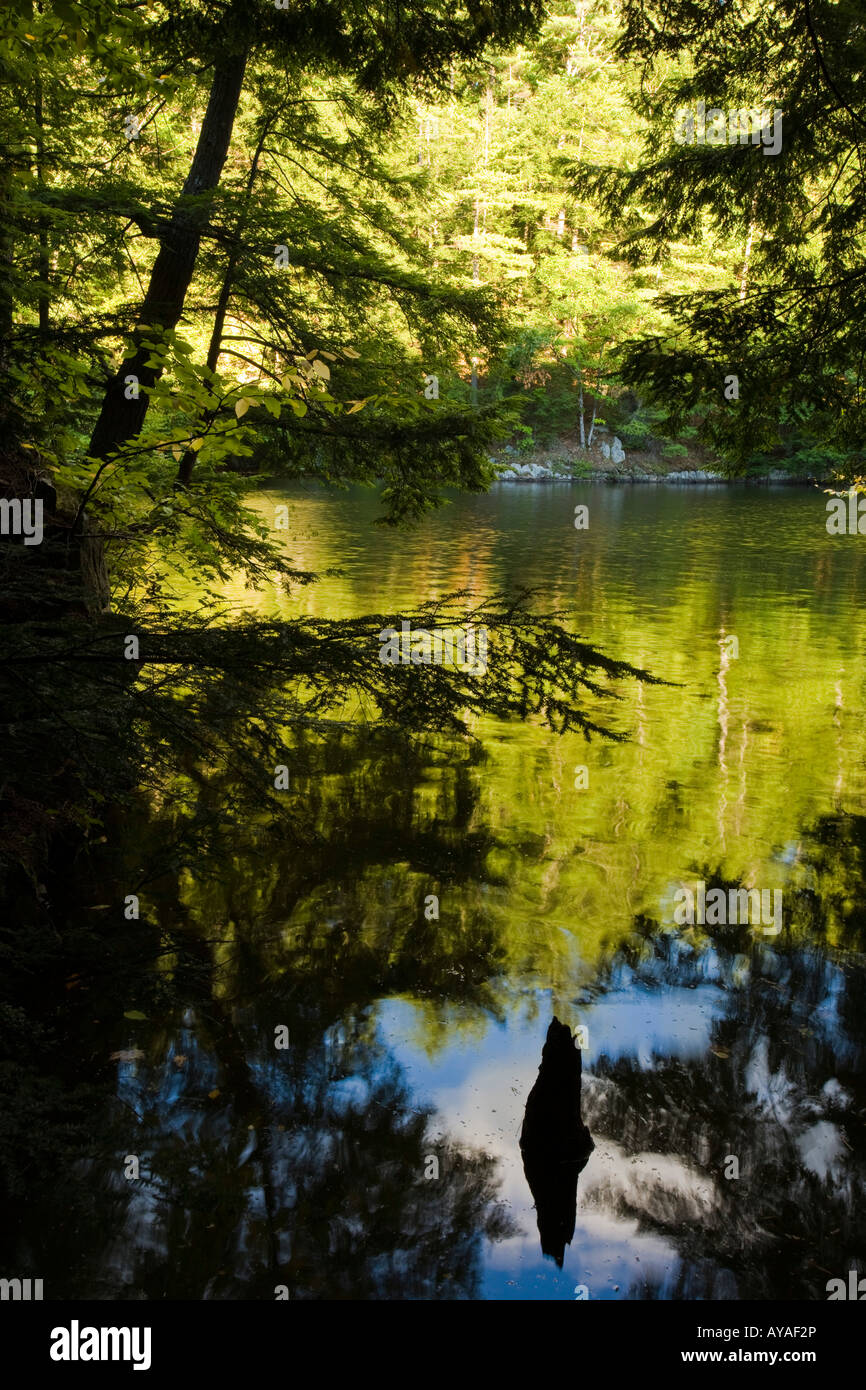 The Saco River in Hollis, Maine.The Saco River in Hollis, Maine Stock