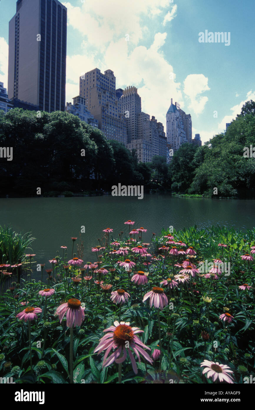 Central Park with flowers blooming in Spring Manhattan New York City U ...