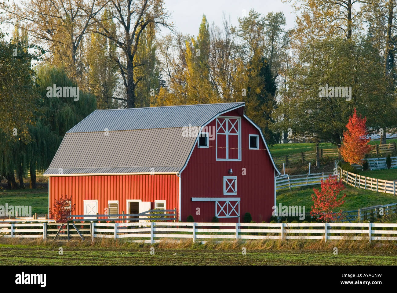 A red barn on a small rural farm Stock Photo