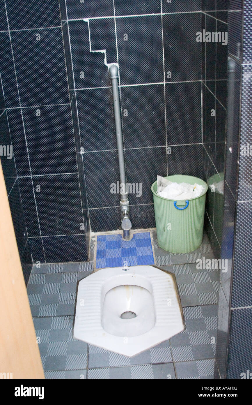 Squat toilet in a museum in Lhasa Tibet Stock Photo Alamy