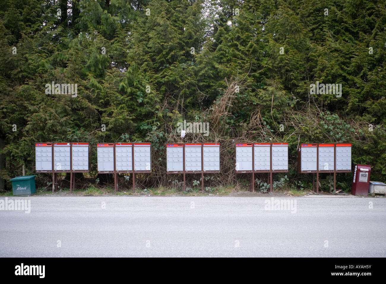 A row of Canada Post super mailboxes on a rural road Abbotsford BC Canada Stock Photo Alamy