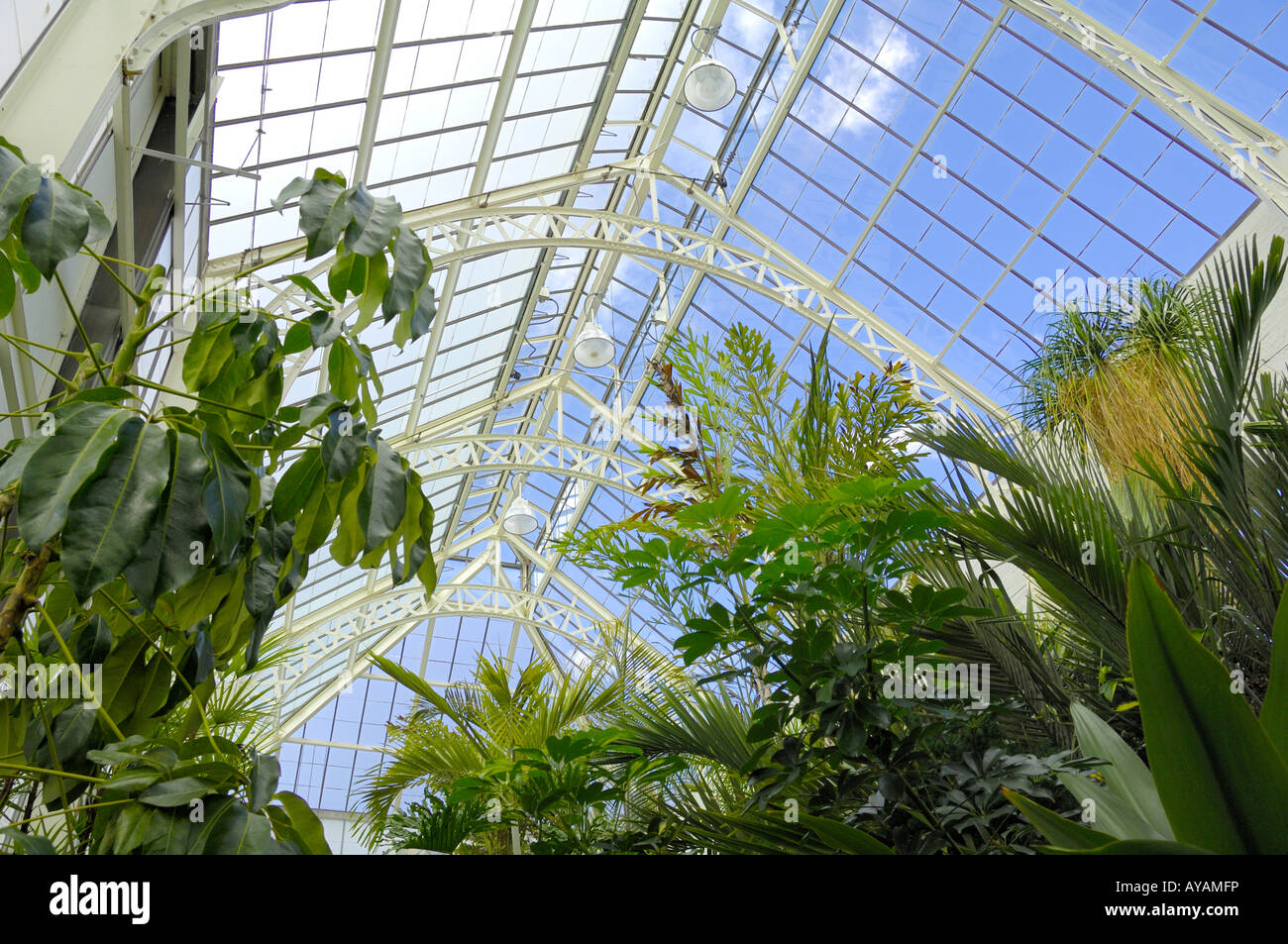 Greenhouse at Biltmore Estate in Asheville North Carolina USA Stock ...