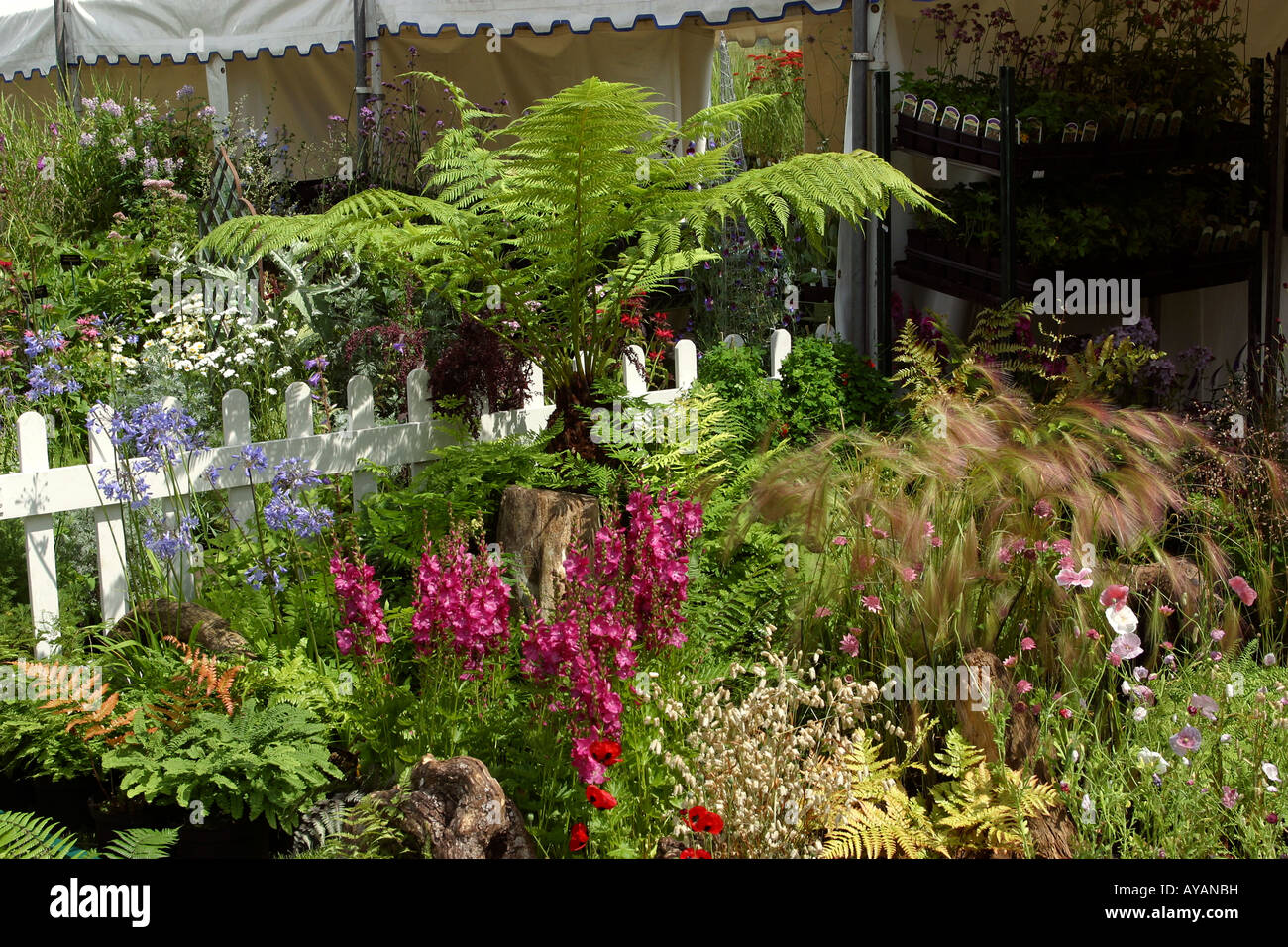UK Cheshire Knutsford Tatton Hall RHS Flower Show well stocked plant stall detail Stock Photo
