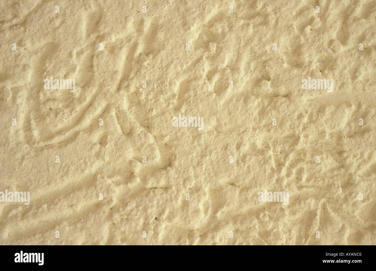 Putz An Einer Hauswand Stock Photo 5565887 Alamy