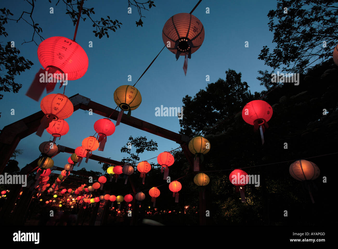 South Korea Seoul Paper Lanterns hanging from trees at dusk in
