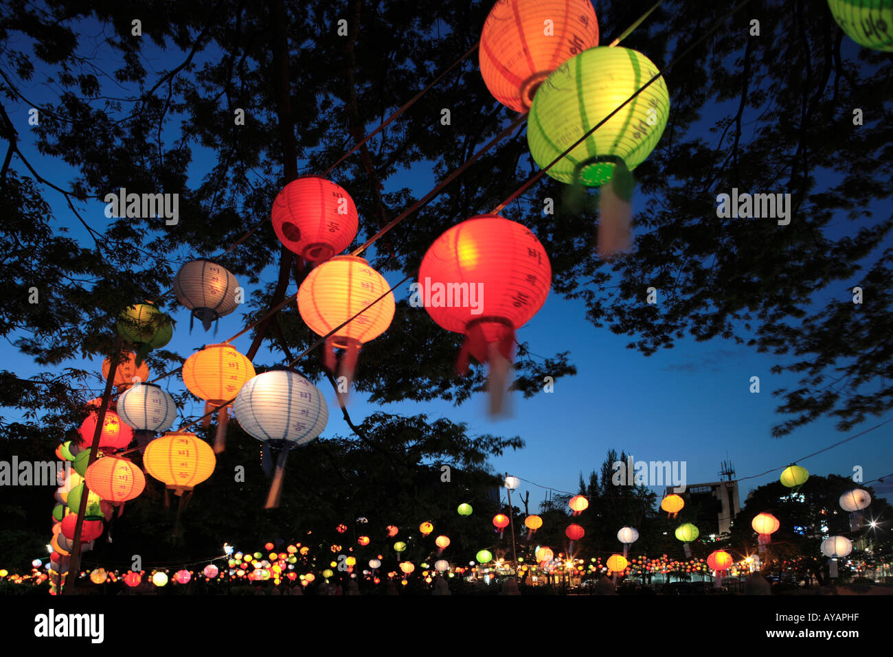 korean paper lanterns