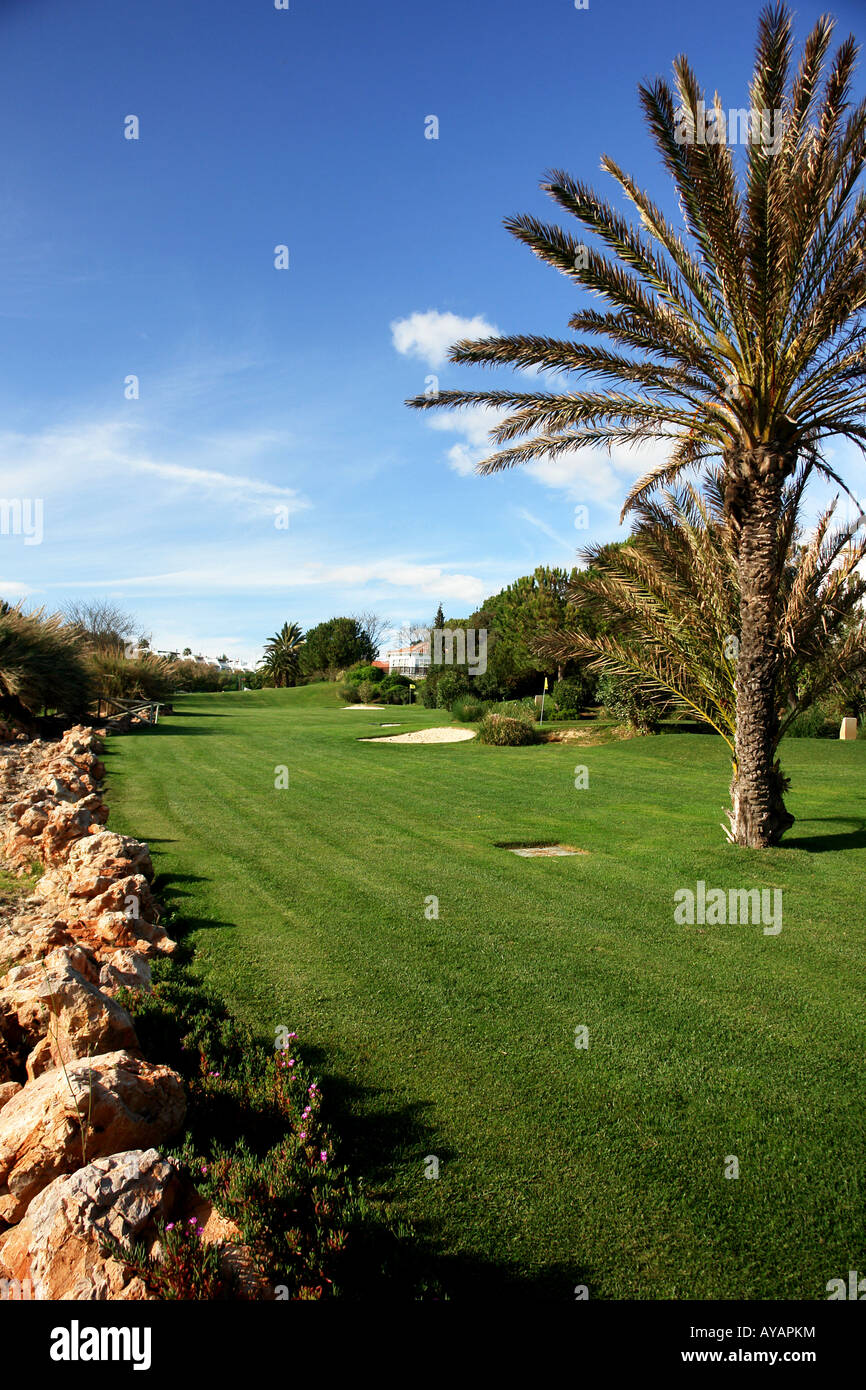 Trees in a golf course Stock Photo