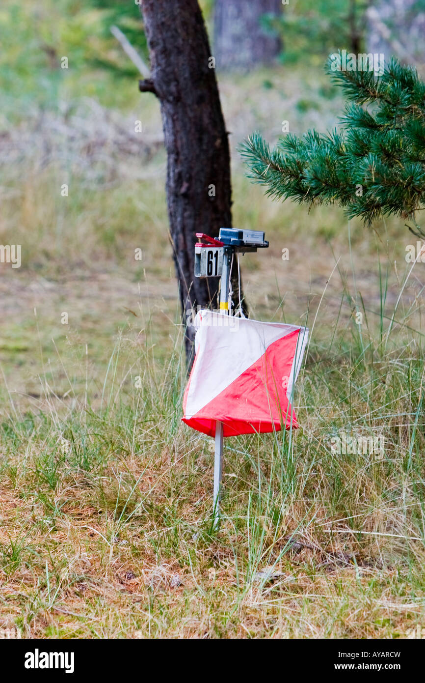 Orienteering control point in woods Stock Photo