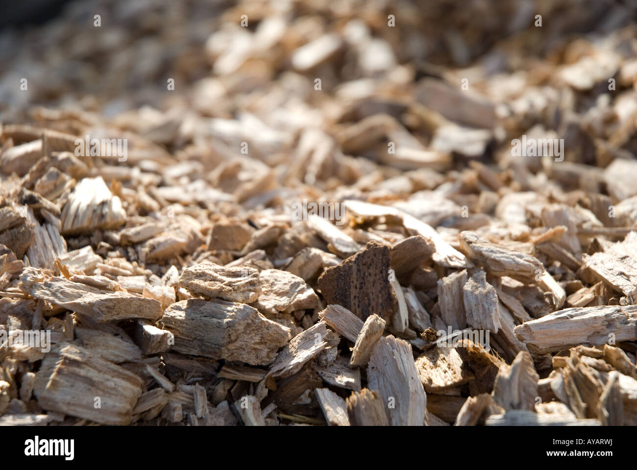 wood chip fuel Stock Photo Alamy