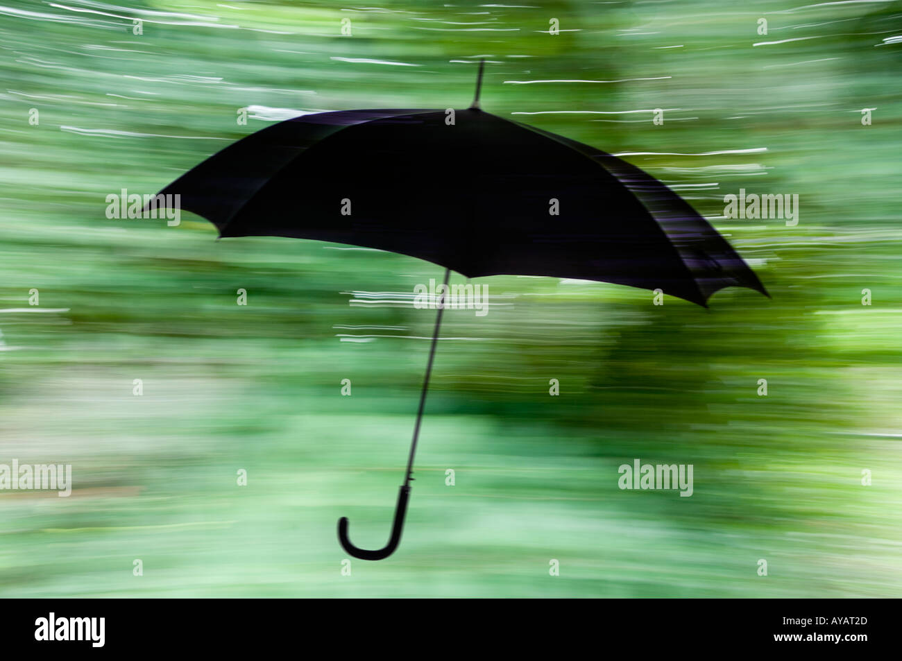 black umbrella floating by blurred foliage Stock Photo Alamy