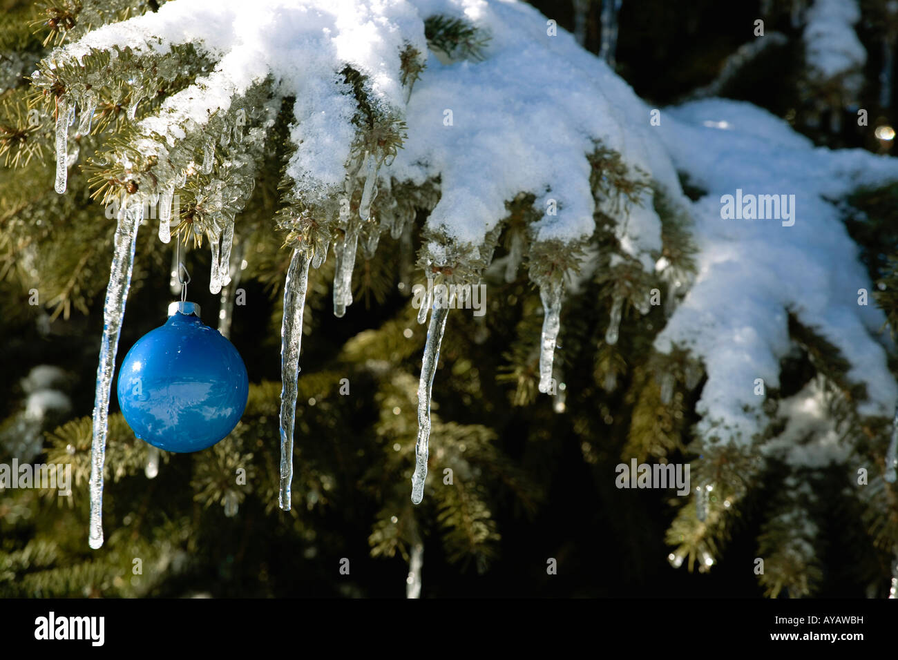 Christmas ornament on snowy tree branch Stock Photo Alamy