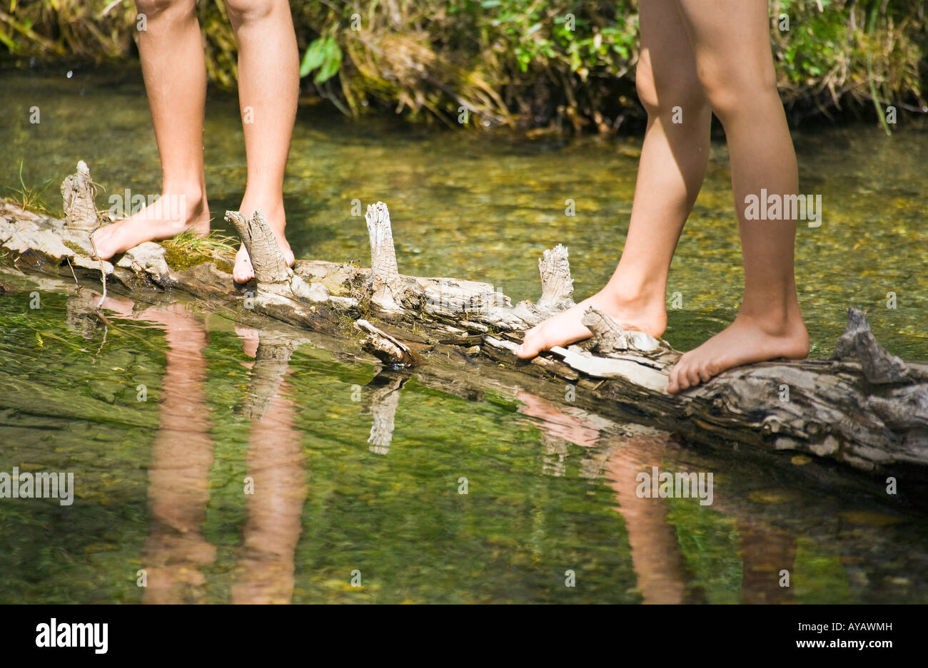 Children standing on a log in a stream Stock Photo
