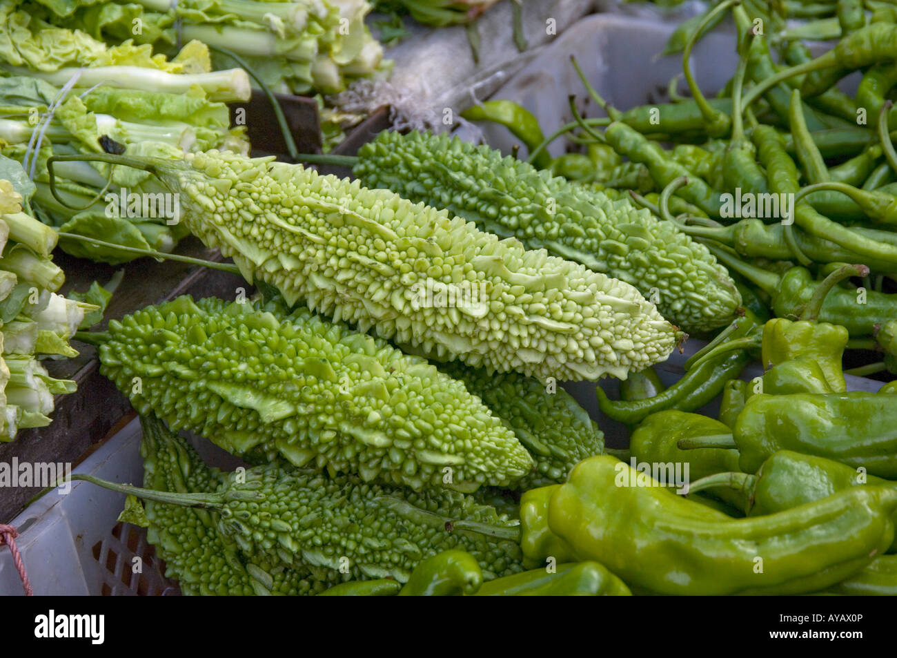 Bitter melons or bitter cucumbers Momordica charantia in Chinese market Stock Photo