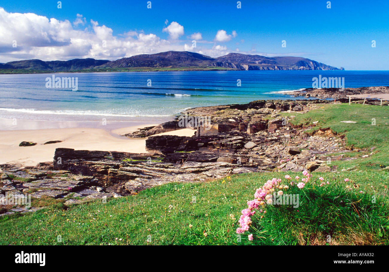 Thrift and rocks beside Tramore Strand, Rosbeg, County Donegal, Ireland. Stock Photo