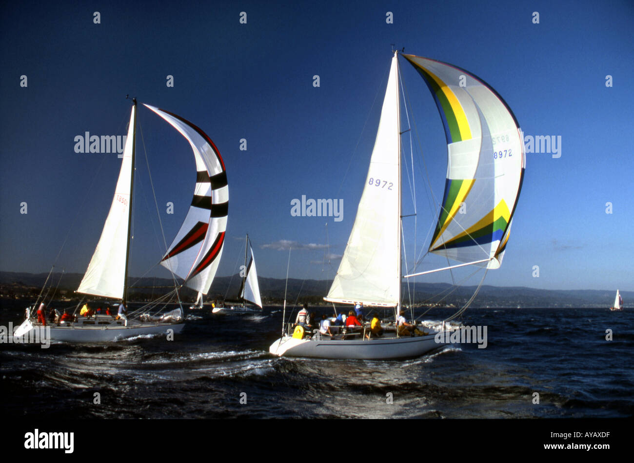 Sailboats Racing Stock Photo