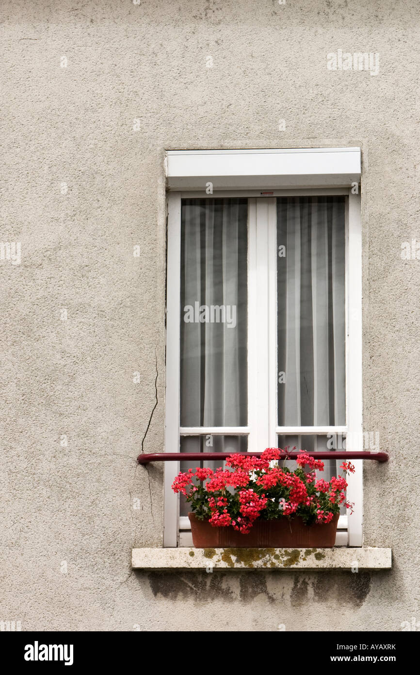 White window with flower box on ledge Stock Photo