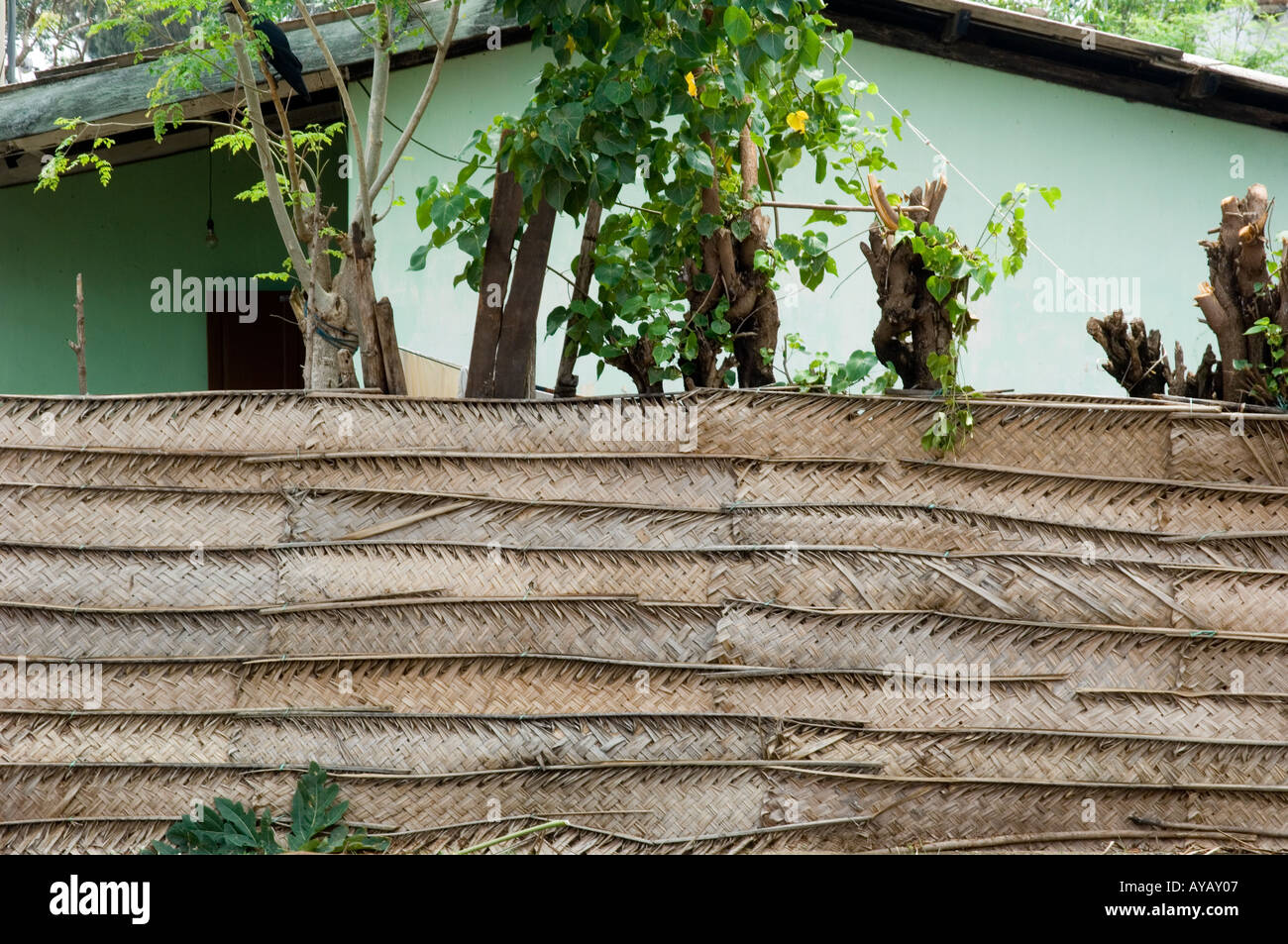 Fence made of woven palm leaves, near the beach at Negombo, near Colombo, Sri Lanka. Stock Photo