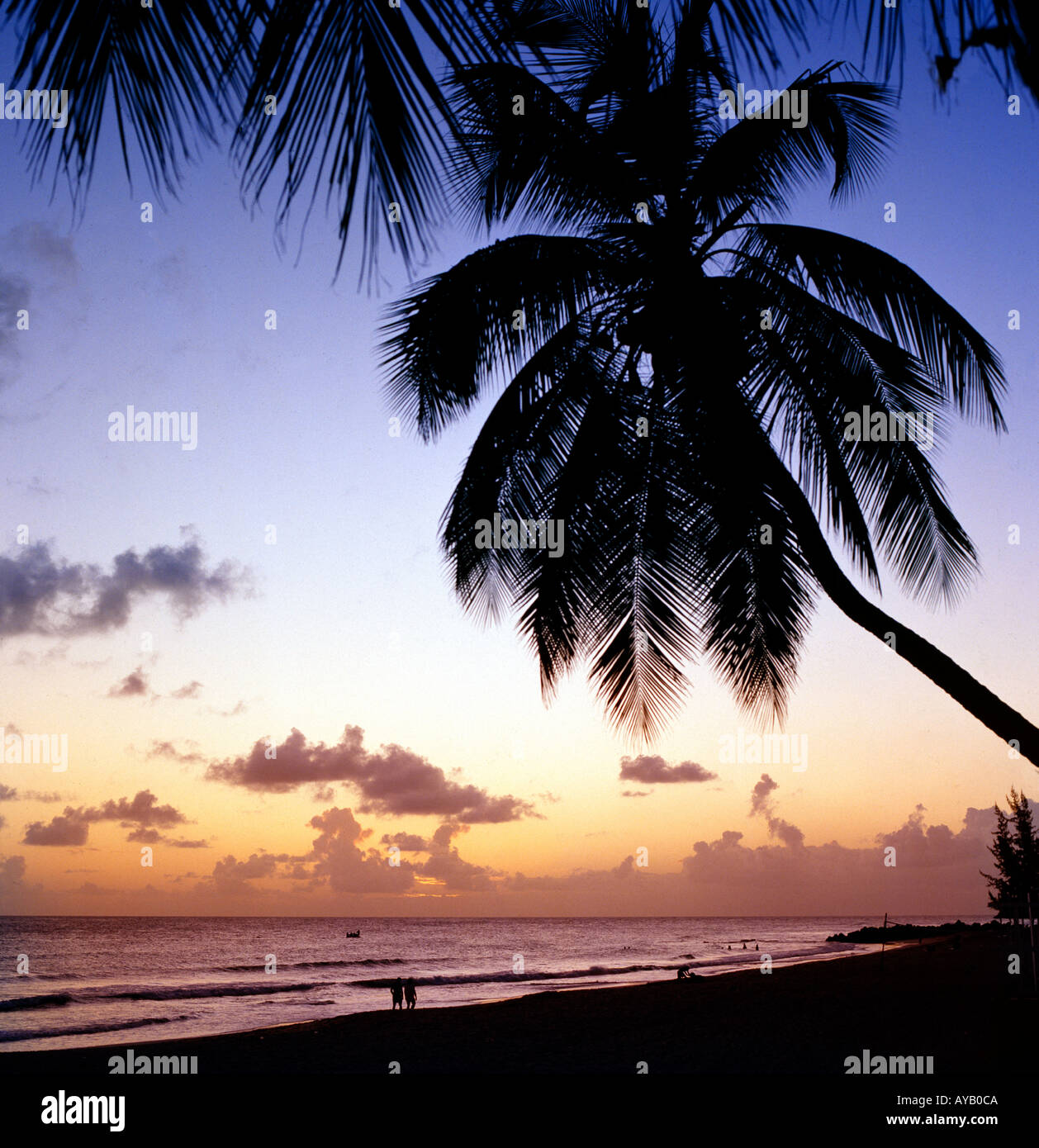 Caribbean Sunset at Barbados Stock Photo