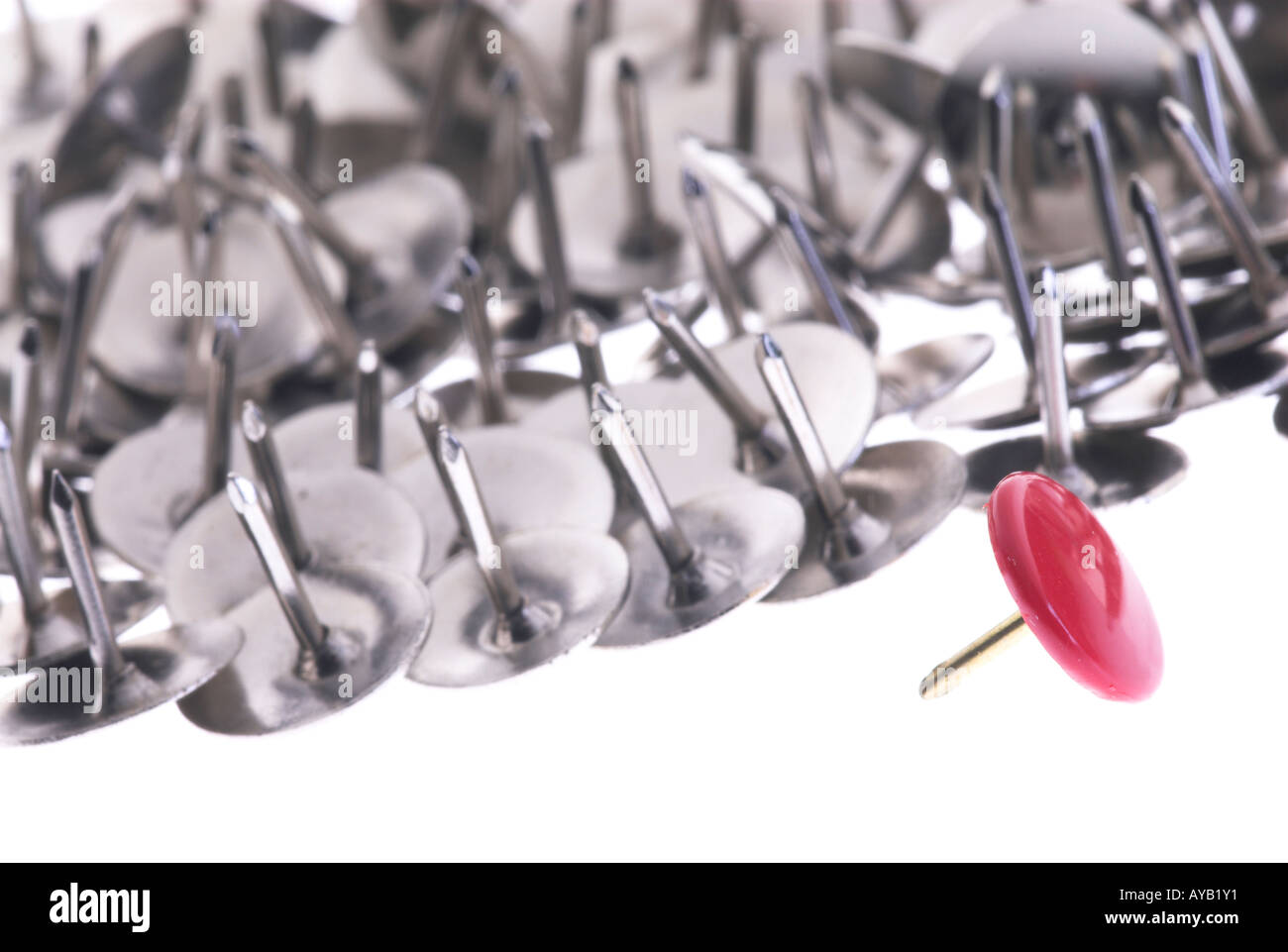 Thumbtacks drawing pins Stock Photo Alamy