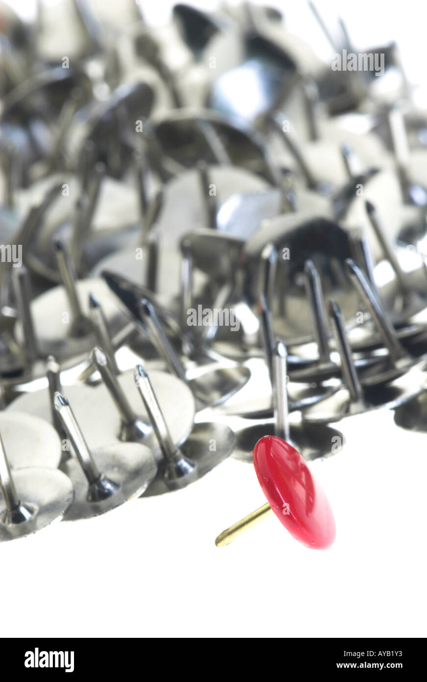 Thumbtacks drawing pins Stock Photo Alamy