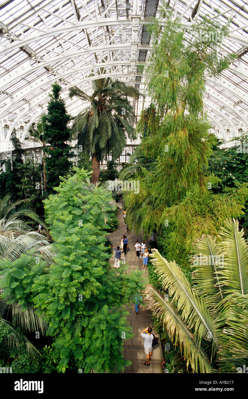 Palmhouse at Kew Gardens in West London Stock Photo Alamy