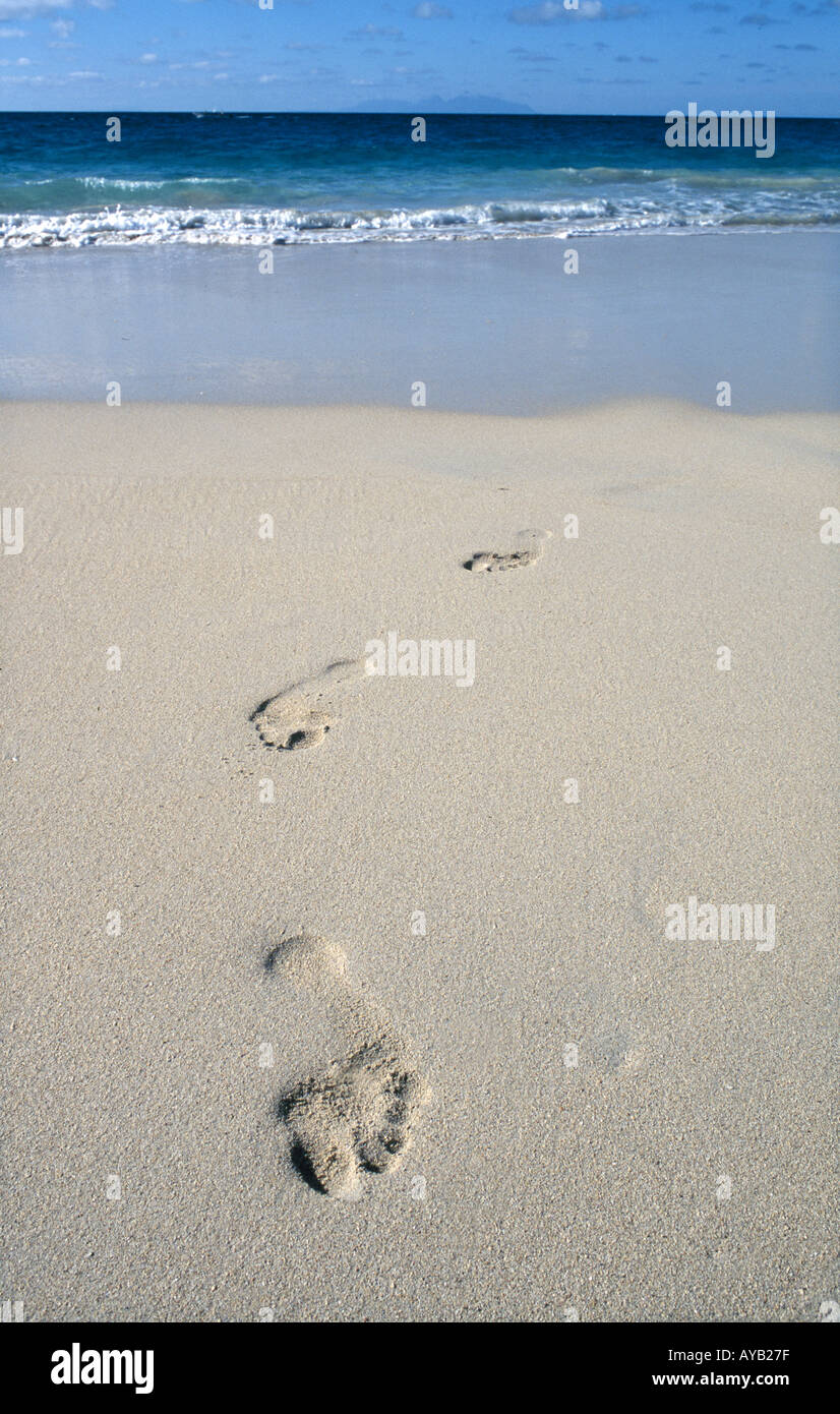 Footsteps in the sand Stock Photo