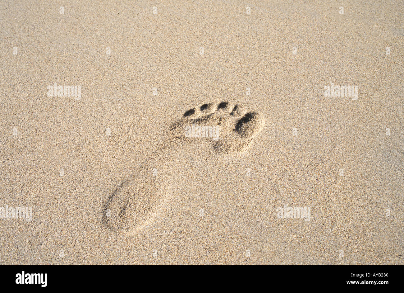 Footprint in the sand Stock Photo