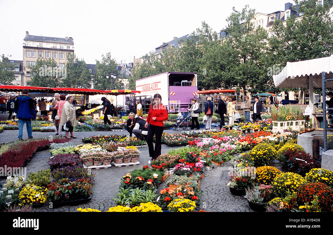 Flower Market in 'Place d' Armes' in the  City of  Luxembourg Stock Photo