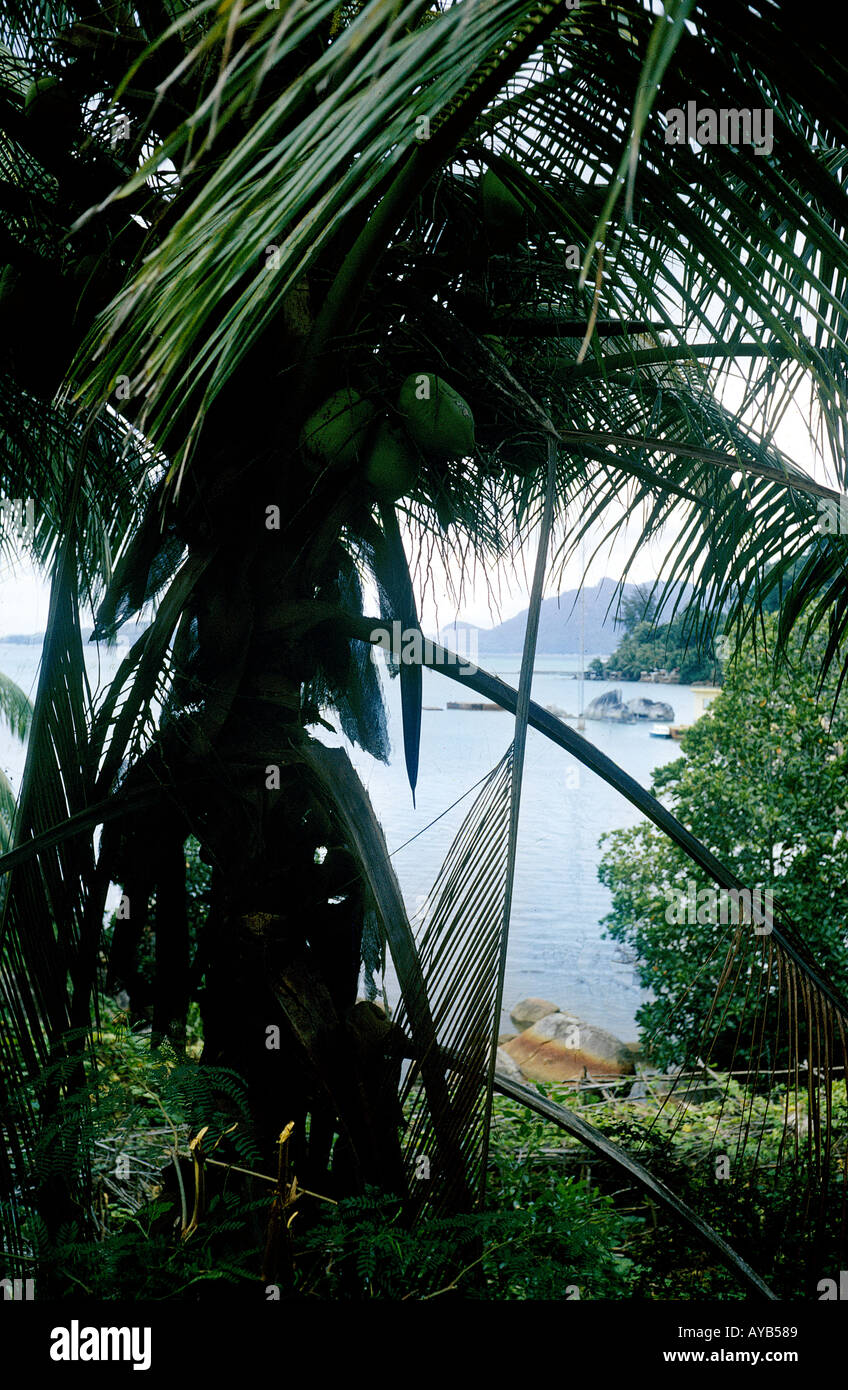 Seychelles Stock Photo